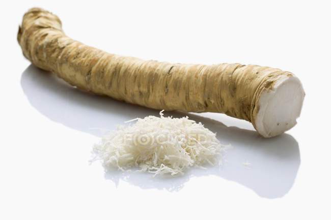 Fresh ripe horseradish root — Stock Photo
