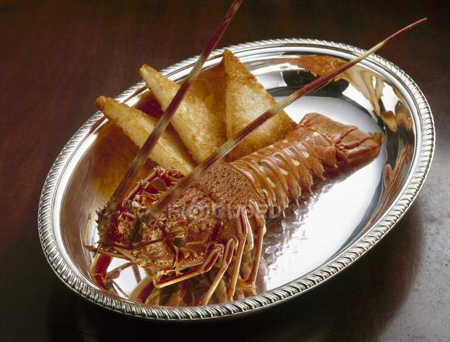 Cooked spiny lobster — Stock Photo