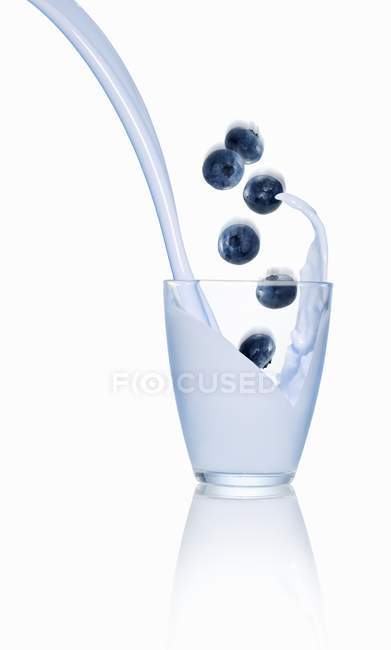 Blueberries falling into glass of milk — Stock Photo