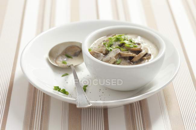 Closeup view of mushrooms in a sour cream sauce — Stock Photo