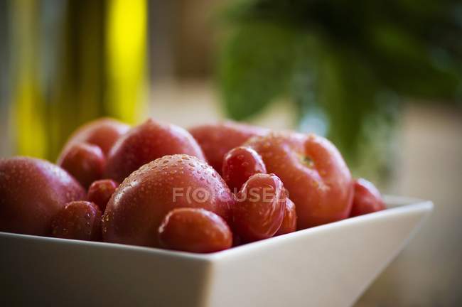 Pomodori appena lavati — Foto stock