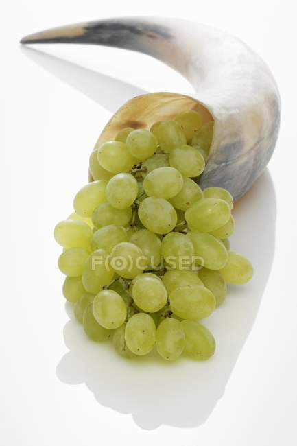 Green grapes in horn — Stock Photo