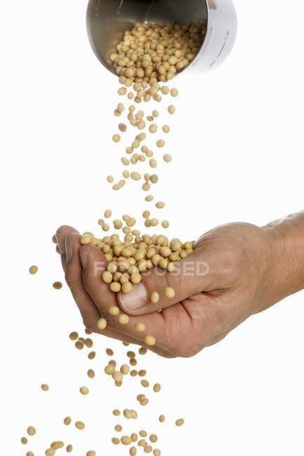 Mani umane versando semi di soia — Foto stock