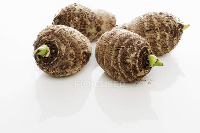 Four taro corms on white background — Stock Photo