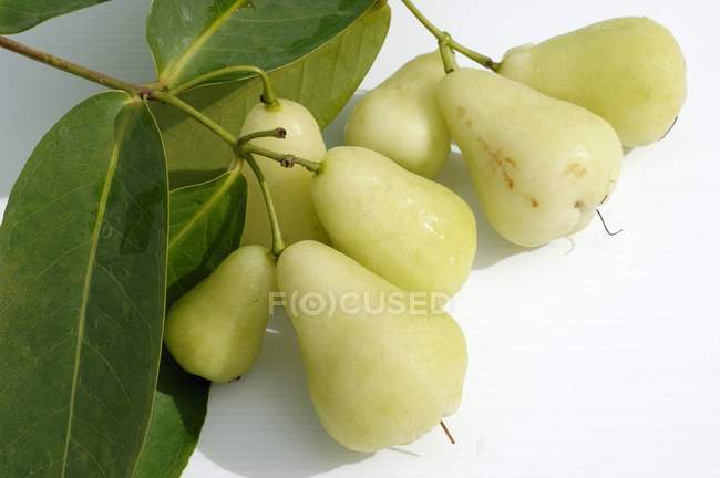 Pommes Java vertes — Photo de stock