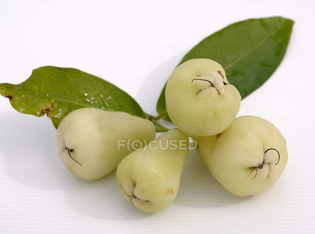 Manzanas verdes Java - foto de stock