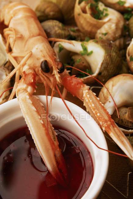 Closeup view of Norway lobster with sauce and snails on background — Stock Photo