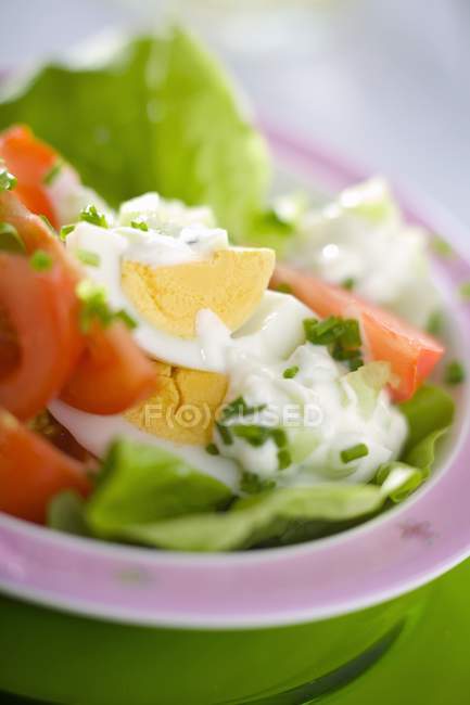 Lettuce, egg, tomato — Stock Photo
