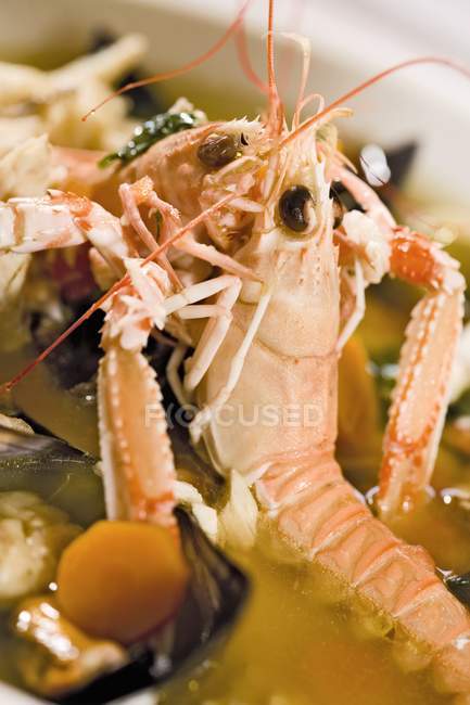 Closeup view of two Norway lobsters in vegetable stock — Stock Photo