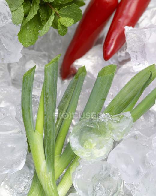 Spring onions, chillies and mint on ice — Stock Photo