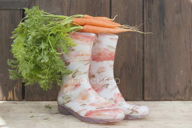 Морква на гумових чоботях — стокове фото