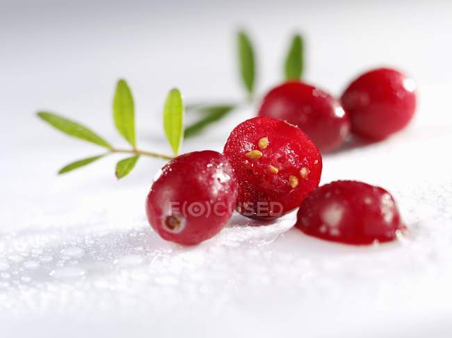 Cranberries frescas com folhas — Fotografia de Stock