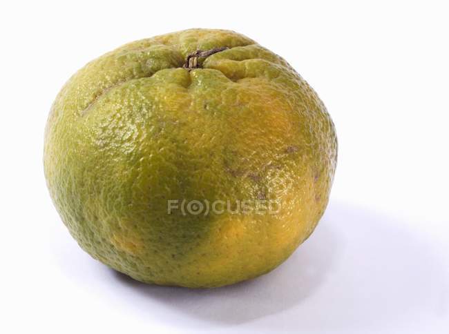 Fresh green tangerine — Stock Photo