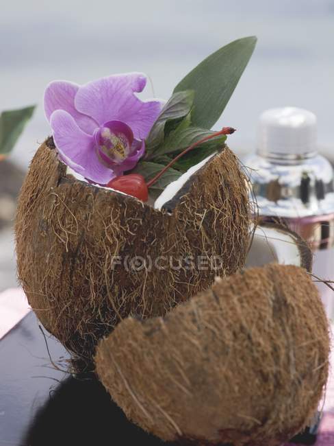 Geöffnete Kokosnuss mit Minze und Orchidee — Stockfoto