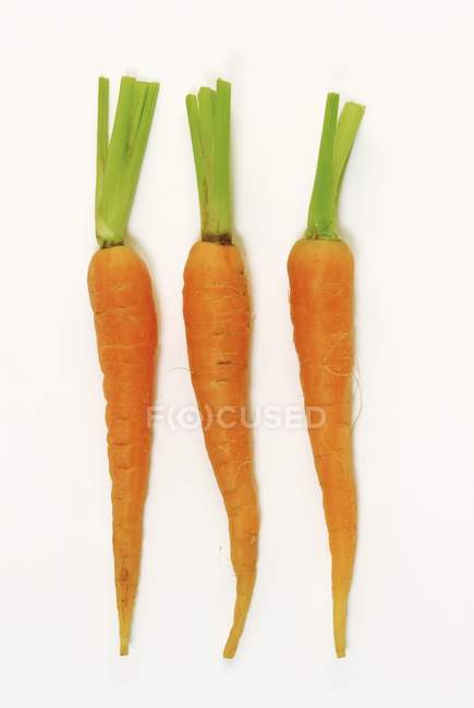 Fresh ripe carrots with stalks — Stock Photo