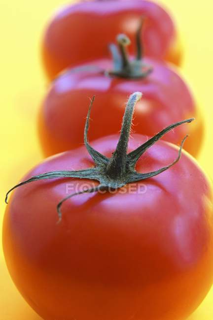 Tres tomates rojos - foto de stock