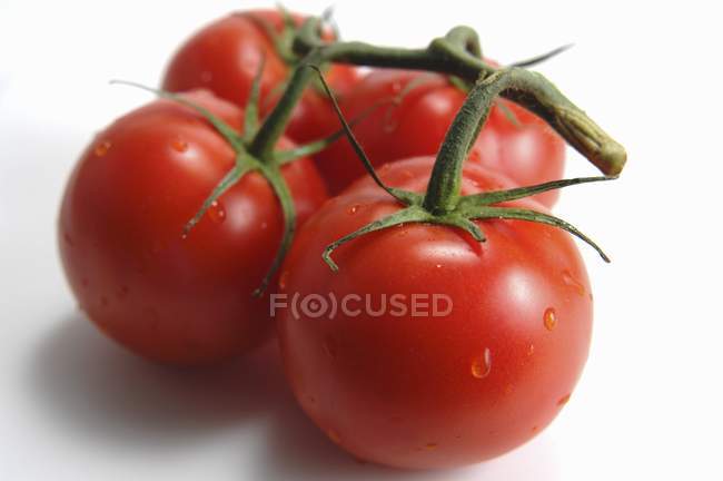 Cuatro tomates en la vid - foto de stock