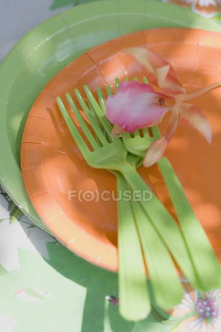 Erhöhte Tagesansicht von Papptellern und grünen Plastikgabeln mit einer Blume — Stockfoto