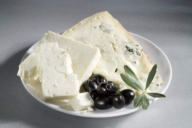 Gorgonzola y queso de oveja - foto de stock