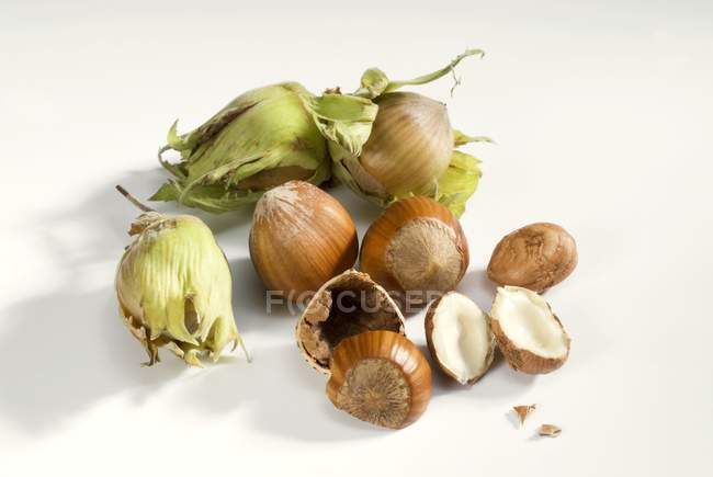 Several hazelnuts on white background — Stock Photo