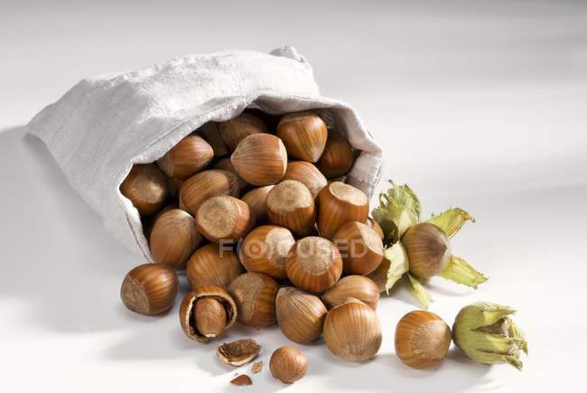 Upset sack of hazelnuts — Stock Photo