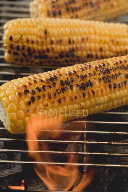 Pannocchia matura su un barbecue — Foto stock