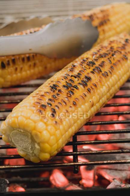 Ripe corncob on a barbecue — Stock Photo