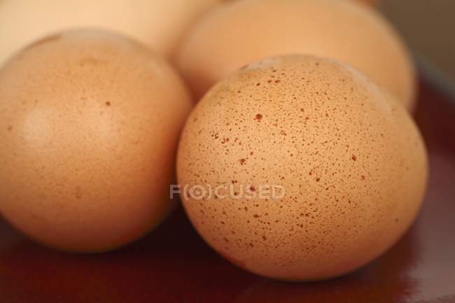Varios huevos marrones - foto de stock