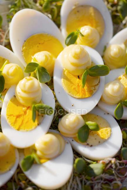 Ovos cozidos — Fotografia de Stock