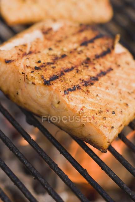 Grilled salmon fillets — Stock Photo