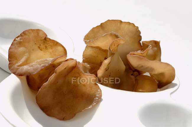 Jelly fungus in a china dish — Stock Photo