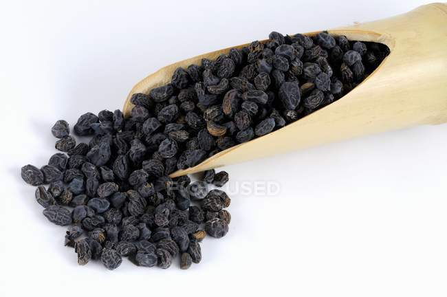 Chinese privet dried berries — Stock Photo