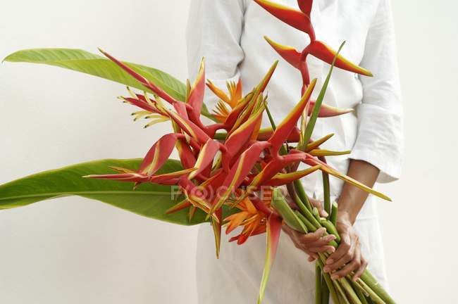 Cropped view of woman holding a bunch of heliconias in hands — Stock Photo