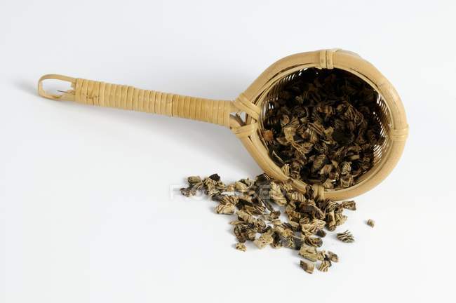 Dried black cohosh root — Stock Photo