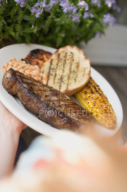 Hands holding plate — Stock Photo