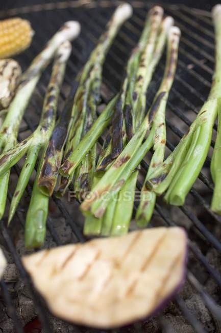 Grilled spring onions on rack — Stock Photo