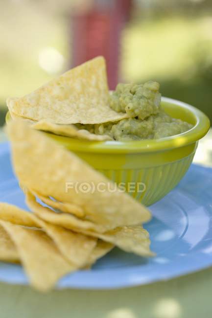 Соус гуакамоле с чипсами — стоковое фото