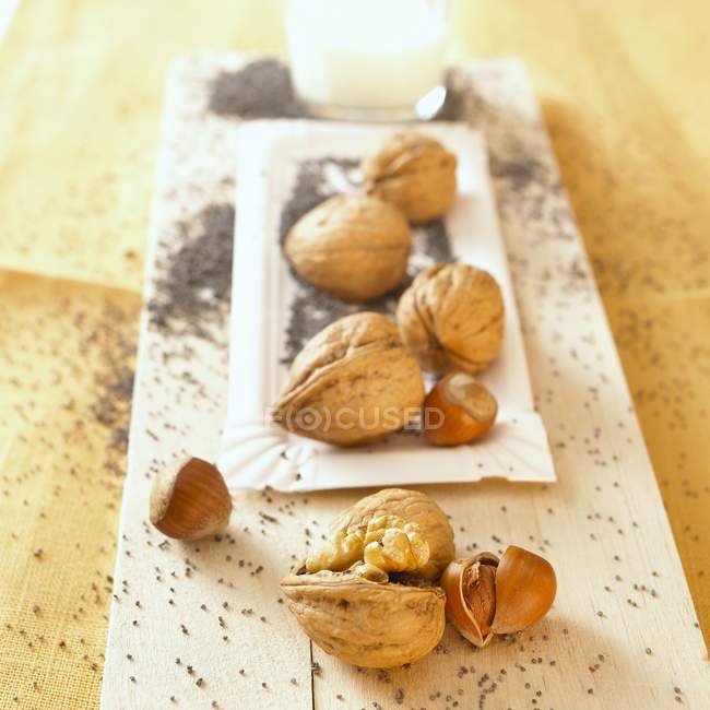 Hazelnuts, walnuts and seeds — Stock Photo