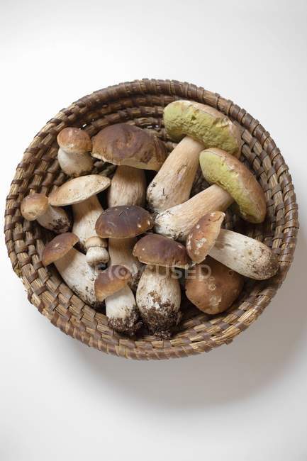 Белые грибы в корзине, вид сверху — стоковое фото