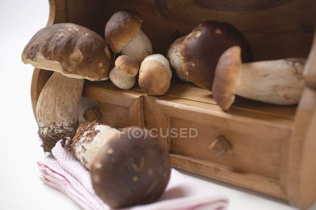 Capsules fraîches sur tiroir — Photo de stock