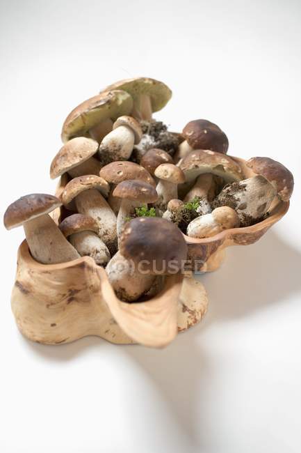 Ceps in carved wooden bowl — Stock Photo