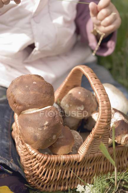 Close-up view of girl with a basket of cep mushrooms — Stock Photo