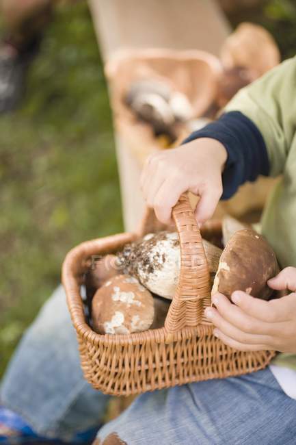 Vista diurna cortada do menino segurando uma cesta de cogumelos cep — Fotografia de Stock