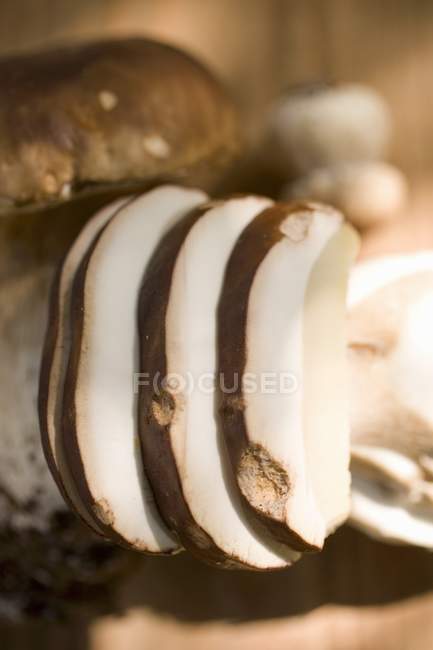 Белые грибы, целые и скользкие — стоковое фото