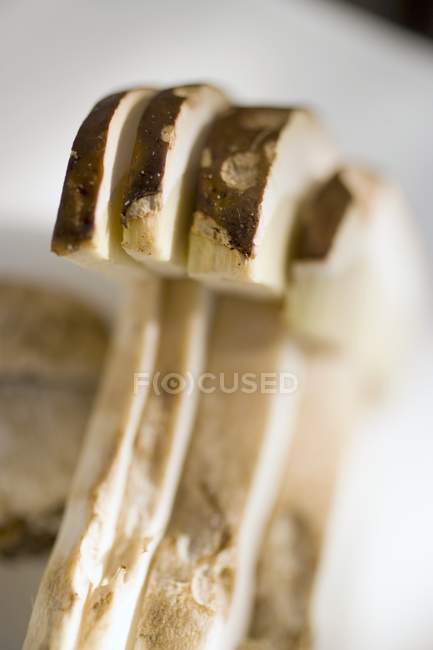 Cep slices, close-up — Stock Photo