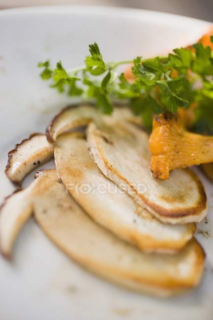 Fried cep slices — Stock Photo