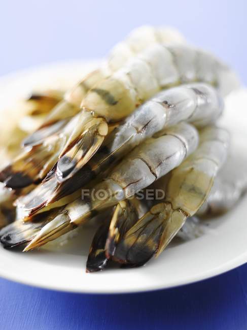 Raw peeled prawns on plate — Stock Photo