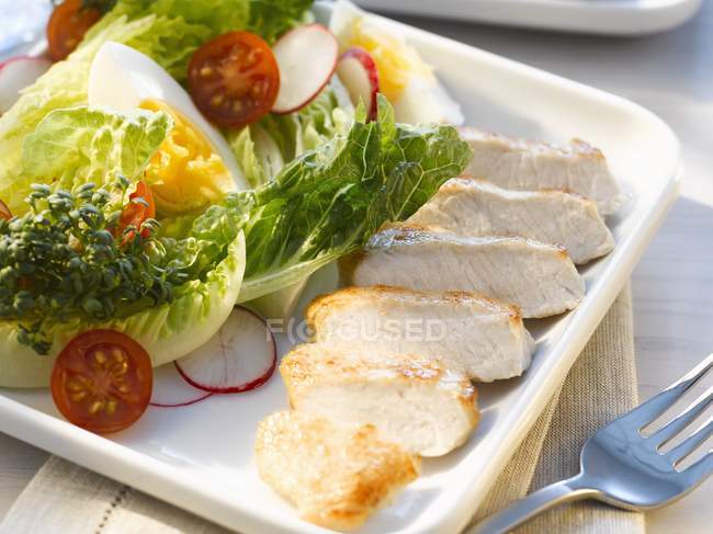 Salat mit gebratener Putenbrust — Stockfoto