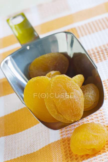 Abricots secs en cuillère — Photo de stock