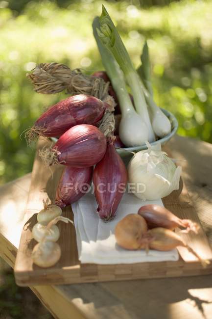 Vários tipos de cebolas — Fotografia de Stock